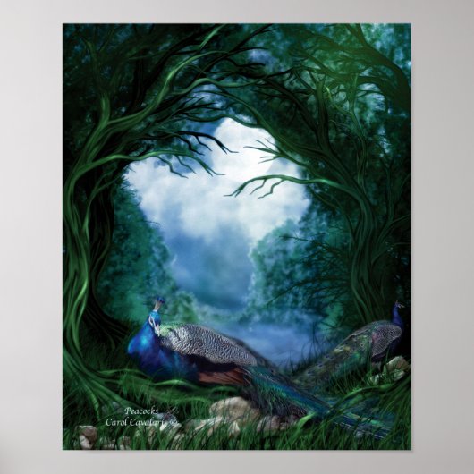 Kunststof Poster/afdrukken Poster (Voorkant)