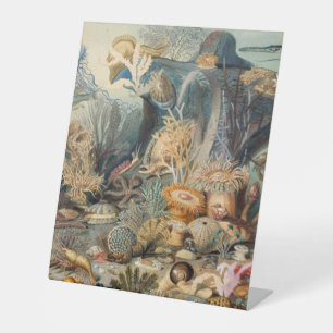 Kunststof voetafdruk 10"X12" Reclamebord Met Voetstuk