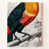 Kunsttekenaar Toucan Bird Sketchbook - Aangepaste  Notitieboek (Achterkant)