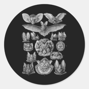 Kunstvlekken wetenschappelijke illustratie Tekenin Ronde Sticker