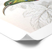  kunstvogelgriep poster (Hoek)