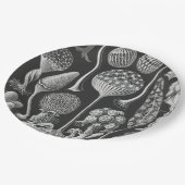 Kunstvormen van natuur papieren bordje (Gekanteld)