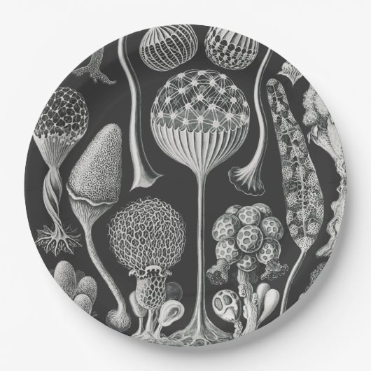 Kunstvormen van natuur papieren bordje (Voorkant)