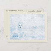 Kunstvos op de witte ijsverpakking briefkaart (Voorkant / Achterkant)