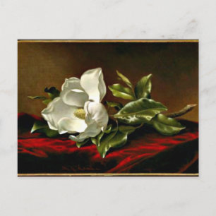 Kunstwerk Magnolia Grandiflora Briefkaart