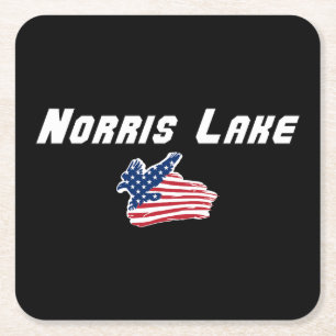 Kunstwerk met Amerikaanse adelaar vlag van Norris Vierkante Kartonnen Onderzetter