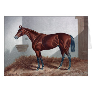 Kunstwerk - Paarden in Zijn Stall,