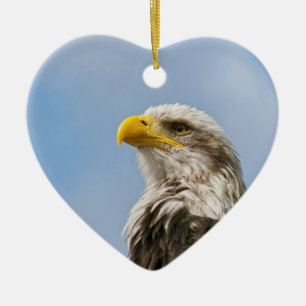 Kunstzinnig portret van een Amerikaanse zeearend i Keramisch Ornament