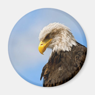Kunstzinnig portret van een Amerikaanse zeearend i Magneet