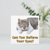 Kunt u geloven dat uw eyes Cute Cat Art Kaart (Staand voorkant)
