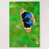 Kupu Kupu Butterfly Legpuzzel (Verticaal)