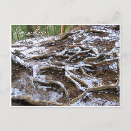 Kurama-dera (Kinone-michi tree roots road) Briefkaart