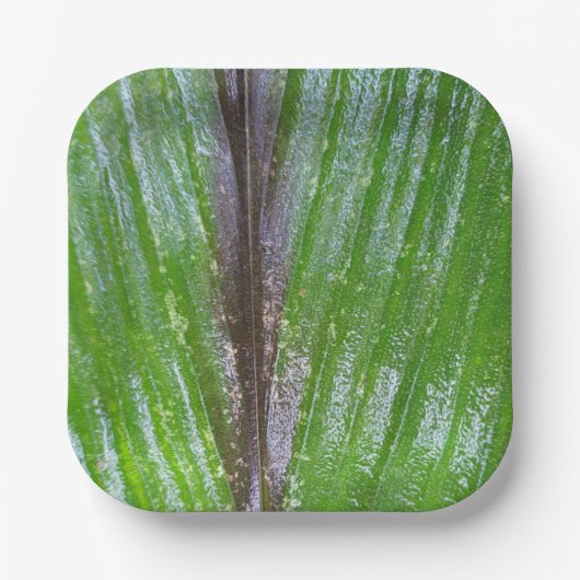 Kurkuma groen blad 7" vierkant papier Borden Papieren Bordje (Voorkant)