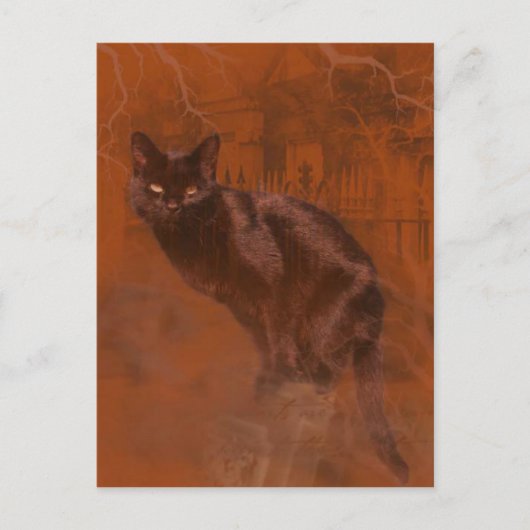 Kuroneko Kami Briefkaart (Voorkant)