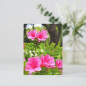 Kurume Azalea Briefkaart (Staand voorkant)