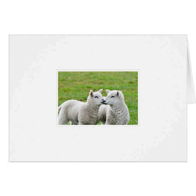 Kus en make up (Voorkant Horizontaal)