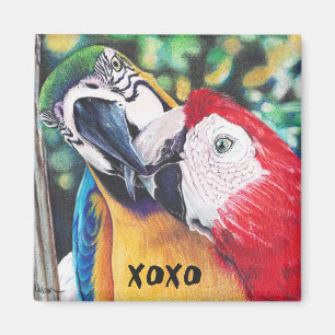 kus macaws magnet magneet