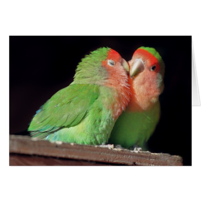 Kus Me Card (Voorkant Horizontaal)