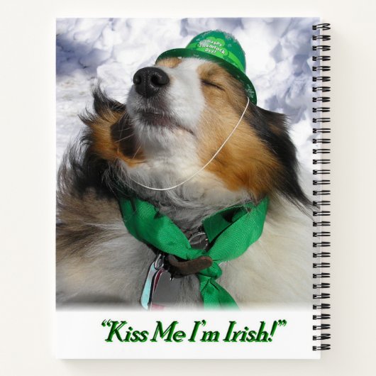 Kus me dat ik Iers ben! Notitieboek (Achterkant)