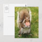 kus me eekhoorn briefkaart (Voorkant / Achterkant)