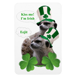 Kus me Ik ben een Iers meerkeukenontwerp Magneet