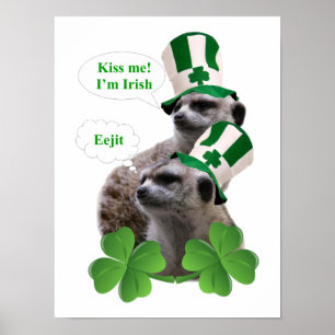 Kus me Ik ben een Iers meerkeukenontwerp Poster