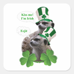 Kus me Ik ben een Iers meerkeukenontwerp Vierkante Sticker
