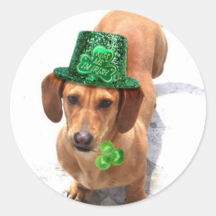 Kus me Ik ben Irish Dachshund stickers