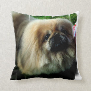 kussen - Gepersonaliseerd