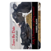 Kussen Kalveren Bruiloft Save the Date Magneet (Verticaal)