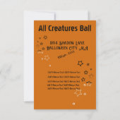 Kussen met sterren kaart (Achterkant)