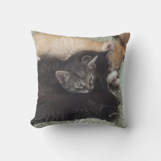 kussen voor schattige Kittens