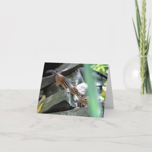 Kussende Aardeekhoorns Kaart (Voorkant)