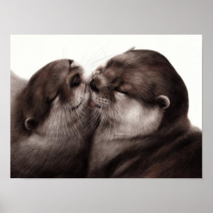 Kussende otters - met de hand geschilderde dierenk poster