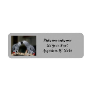 Kust African Grey Parrots Cute Bird Address Etiket