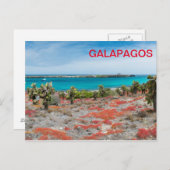 Kust bij Galapagos Briefkaart (Voorkant / Achterkant)