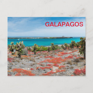 Kust bij Galapagos Briefkaart