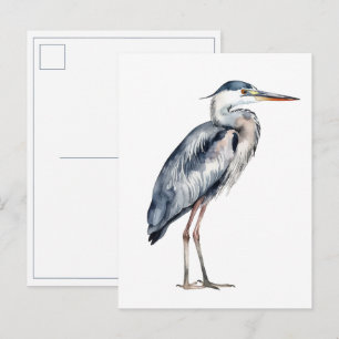 Kust Blauwe Reiger Vogel Briefkaart