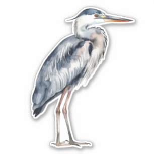 Kust Blauwe Reiger Vogel Sticker