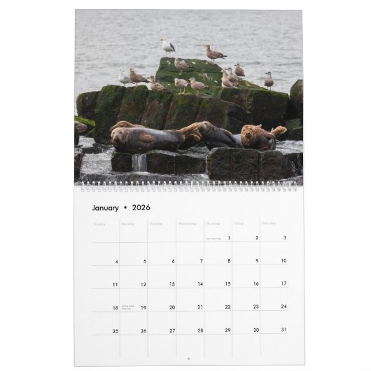 Kust Delaware Kalender 2025 (Jan 2026)