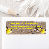 Kust en schelpen etiket (Insitu)