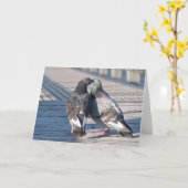 Kust Pigeons Frameable Art Kaart (Gele Bloem)