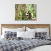 Kust Redwood Bomen Canvas Prints Bossen (Insitu (Slaapkamer))