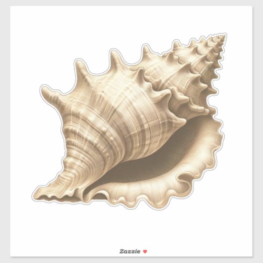 Kust/strand/nautische schelp sticker (Vel)