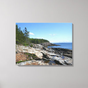 Kust van Bar Island in Acadia National Park Canvas Afdruk