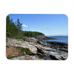 Kust van Bar Island in Acadia National Park Magneet