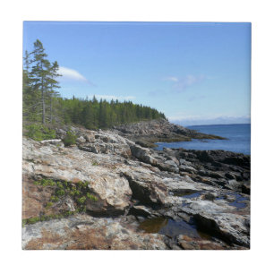 Kust van Bar Island in Acadia National Park Tegeltje