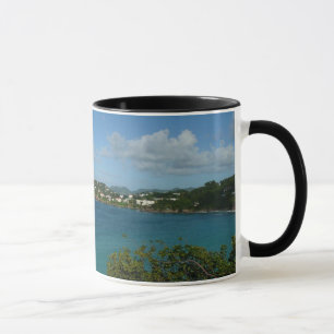 Kust van Saint Lucia Caribbean Vacation Foto Mok