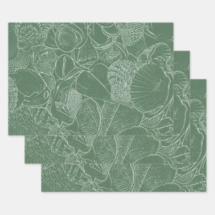 Kust Zee Schelp Strand Groen Witte Decoupage Inpakpapier Vel