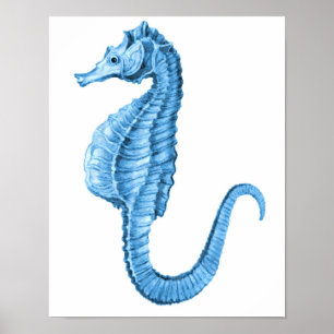 Kust zeevaart het strand oceaanzee van Seahorse Poster